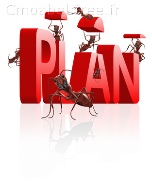 structure et plan du site